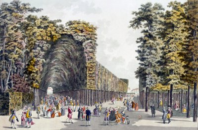 Limegrove Walk, Augarten, Vienna by Johann Ziegler